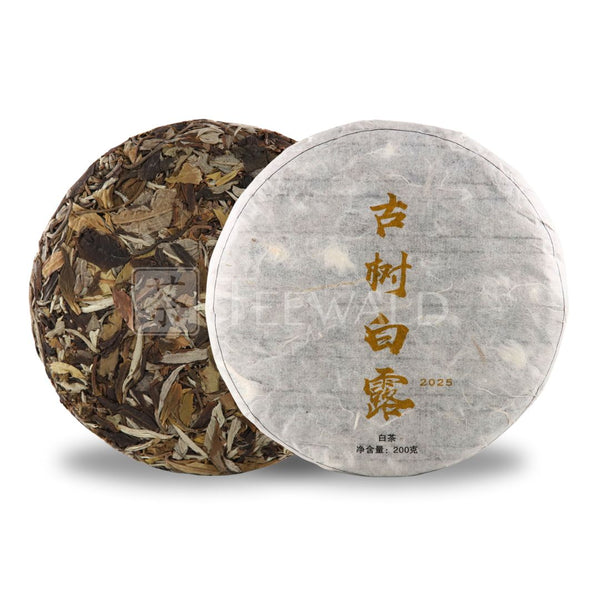 2025 Gushu White Yunnan Weißer Tee