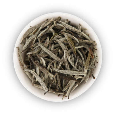 2019 Fuding Silver Needle (Bai Hao Yin Zhen)