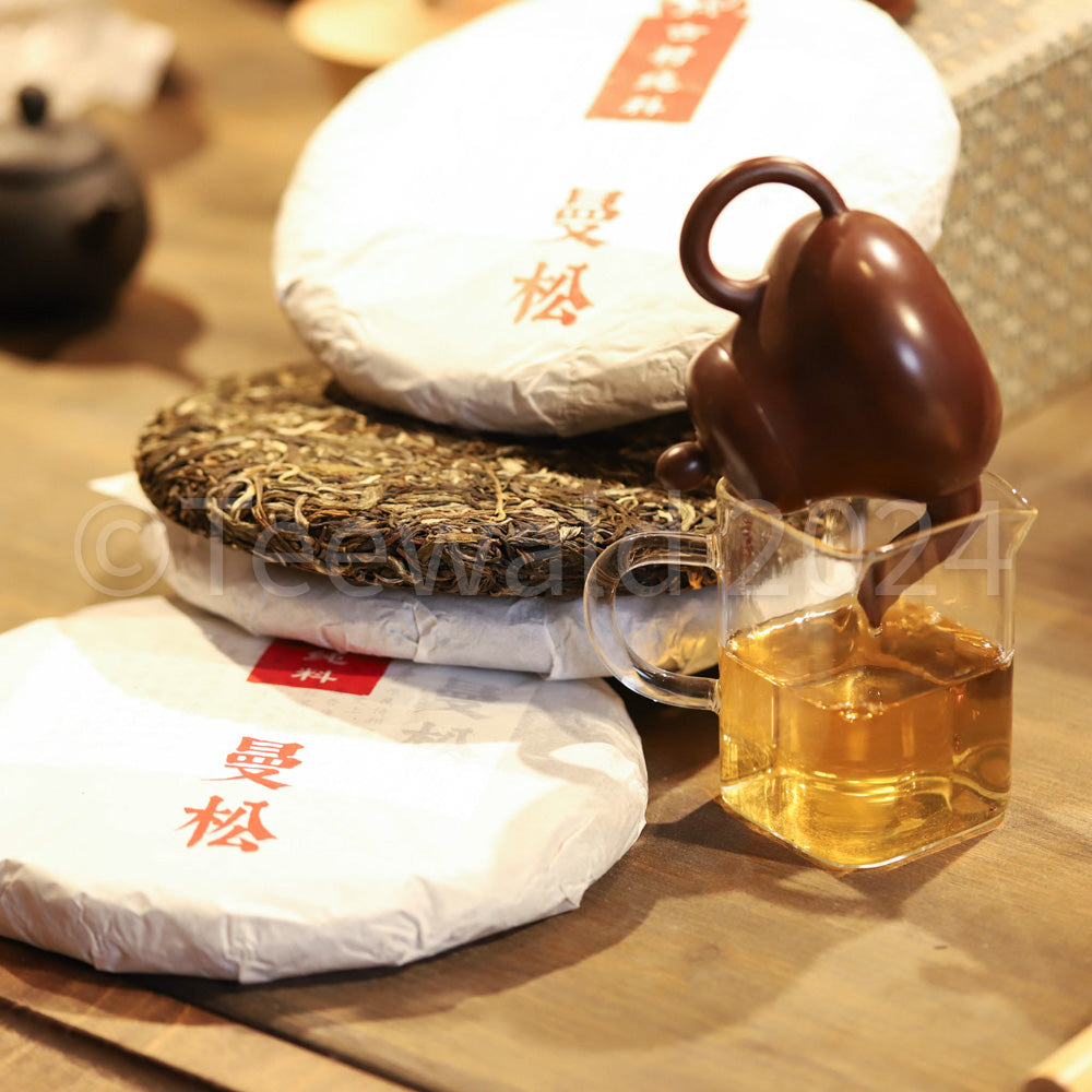 2023 Mansong Sheng Pu Erh