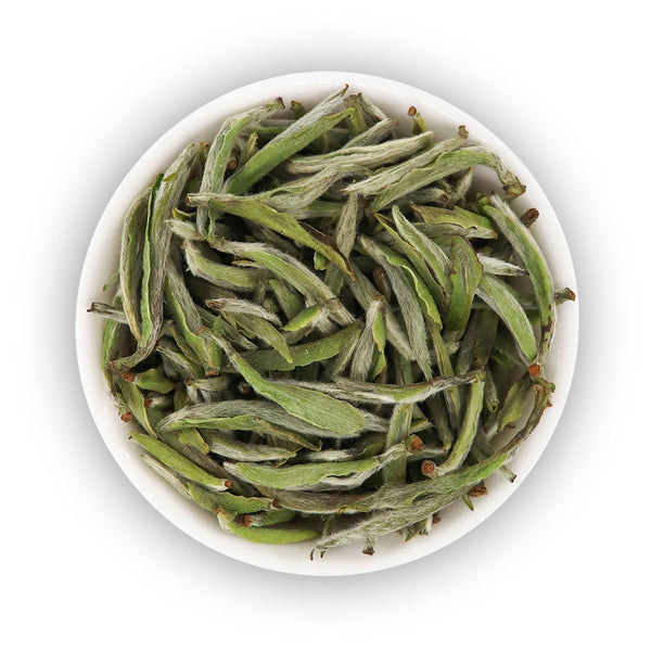 2025 Fuding Silver Needle Wild (荒野银针)