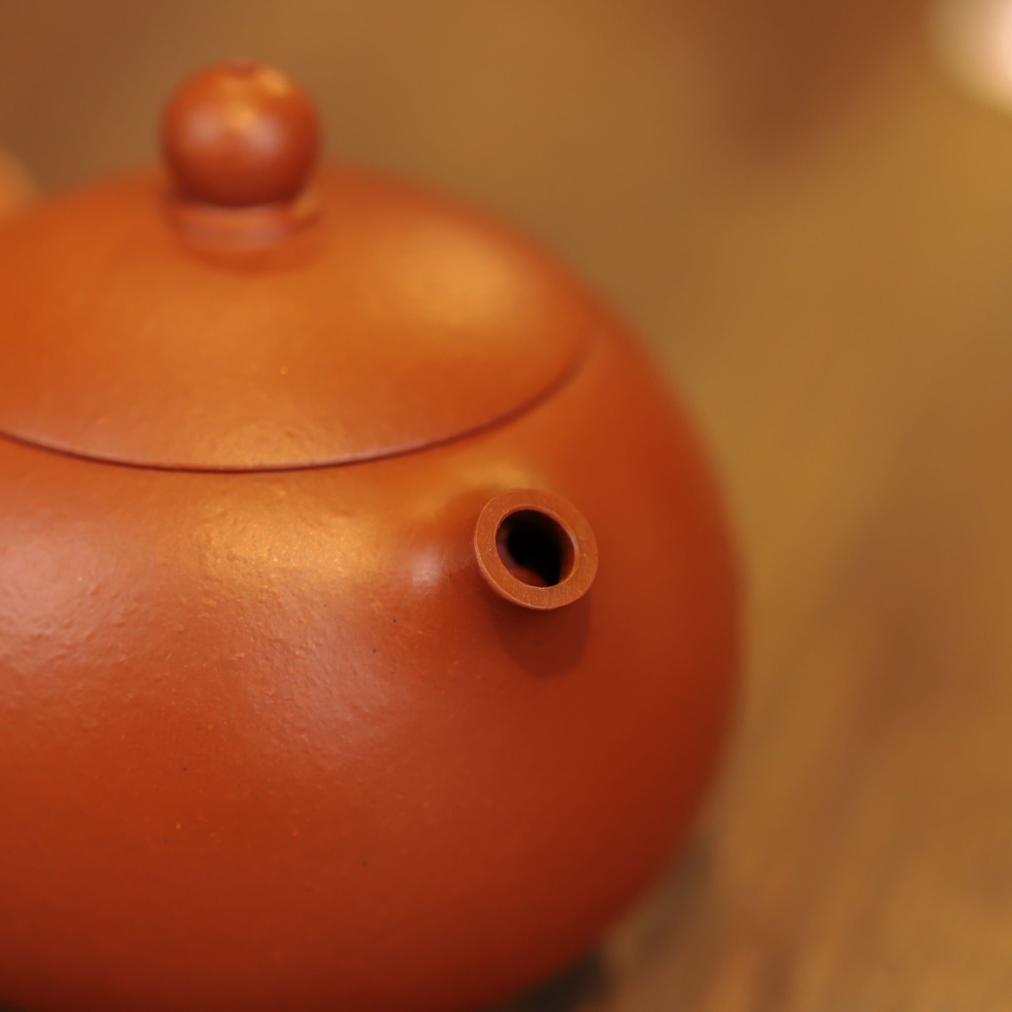 Yixing Zhuni Xishi (110ml)