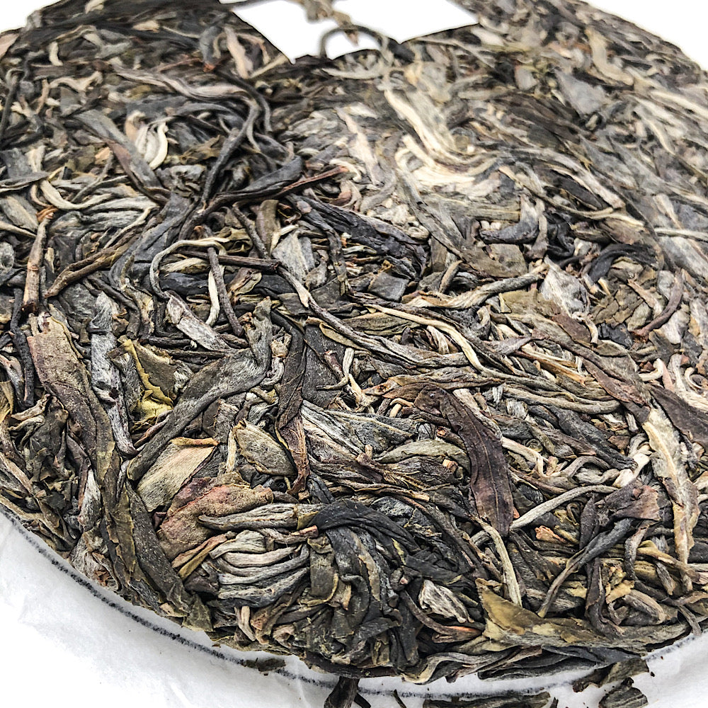 2020 Nannuo Shan Gushu Sheng Pu Erh