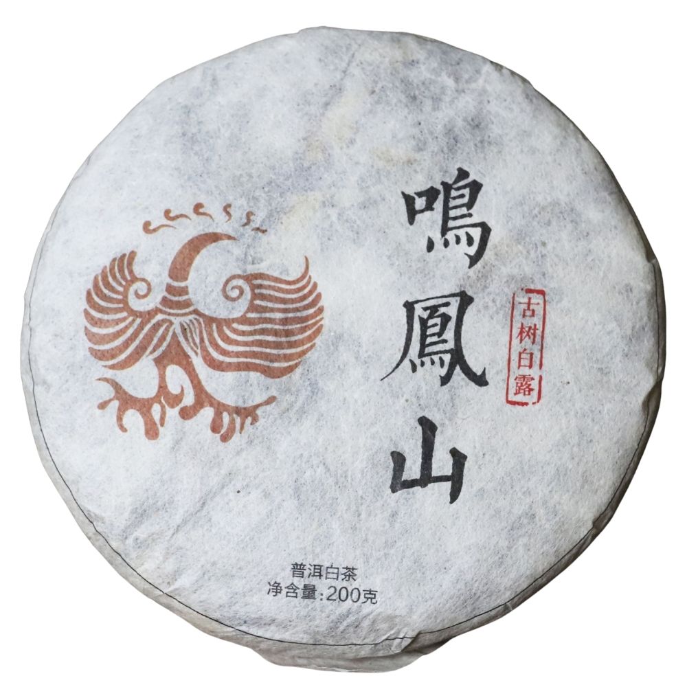 2021 Gushu White Yunnan Weißer Tee