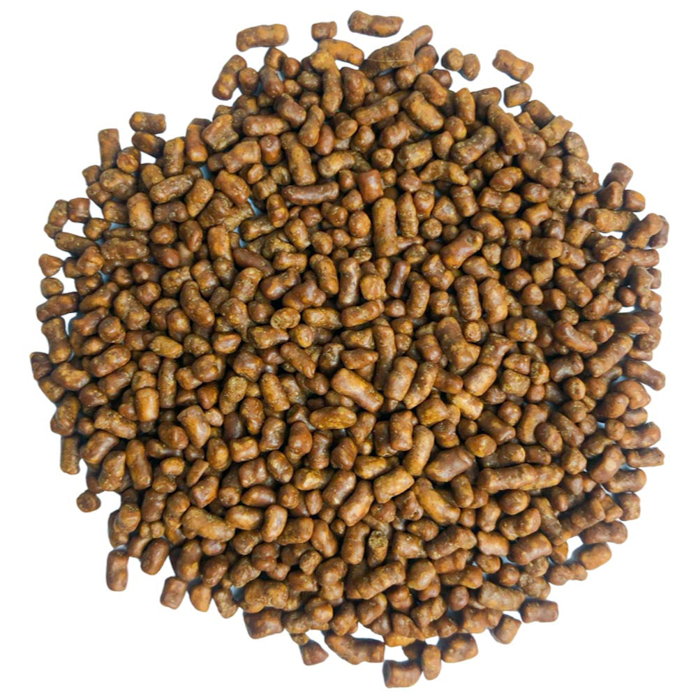 Schwarzer Buchweizen Tee, geröstet (SobaCha) hier Bestellen TEEWALD